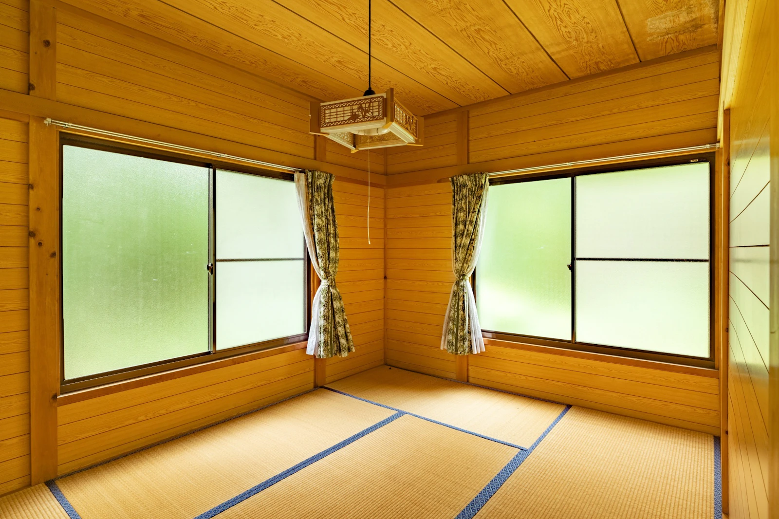 森の孔明 — 写真を見る 7